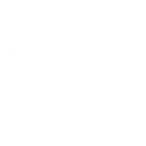 Search Engine Optimization (SEO)